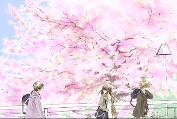 福建大菠萝导航官网